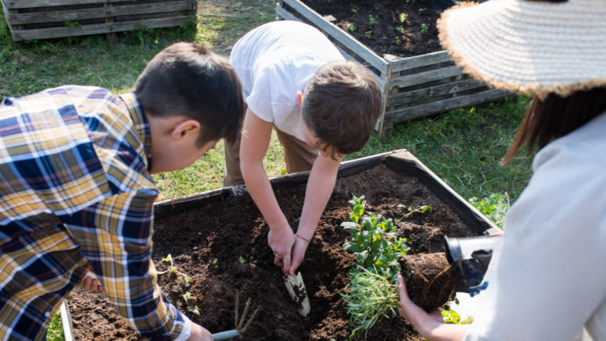 La sostenibilità nel menu